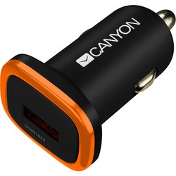 Зарядное устройство Canyon CNE-CCA01