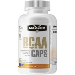 Аминокислоты Maxler BCAA Caps 360 cap