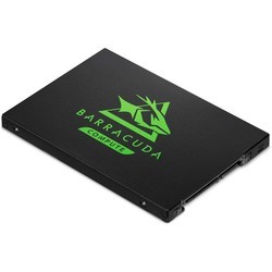 SSD Seagate ZA250CM1A003