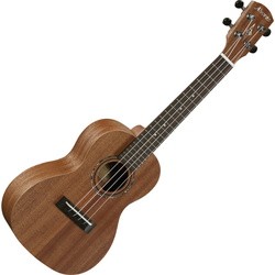 Гитара Alvarez RU22C