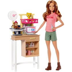 Кукла Barbie Zoo Doctor Playset DVG11