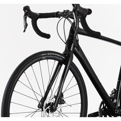 Велосипед Cannondale Synapse Sora 2020 frame 51