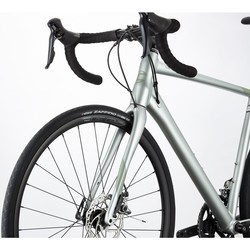 Велосипед Cannondale Synapse Sora 2020 frame 54