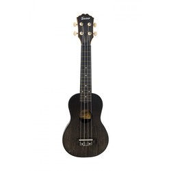 Гитара Terris PLUS-50 (черный)