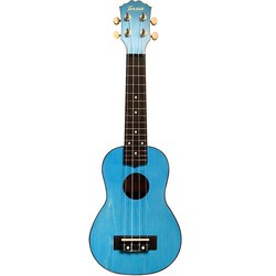 Гитара Terris PLUS-50 (синий)