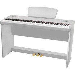 Цифровое пианино Sai Piano P-9 (черный)