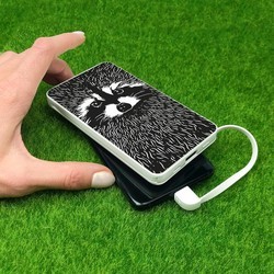 Powerbank аккумулятор ZIZ Raccoon 10000