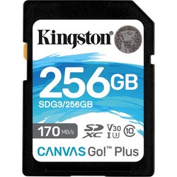 Карта памяти Kingston SDXC Canvas Go! Plus 256Gb