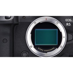 Фотоаппарат Canon EOS R5 kit