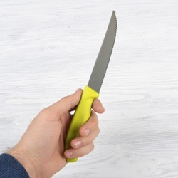 Кухонный нож Victorinox 6.7936.12L8