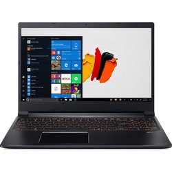 Ноутбук Acer ConceptD 3 Pro CN315-71P (CN315-71P-79C6)