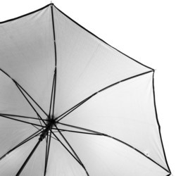 Зонт Fulton Kew-2 L903