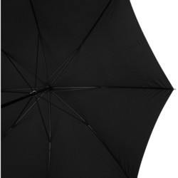 Зонт Fulton Governor-1 G801