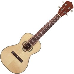 Гитара Prima M310C