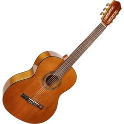 Гитара Salvador Cortez CC-08