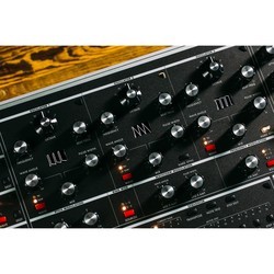 Синтезатор Moog One 8-Voice