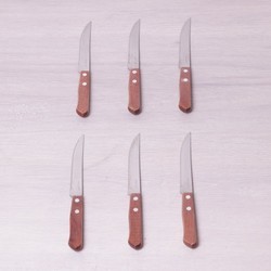 Набор ножей Kamille 5300