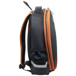 Школьный рюкзак (ранец) Silwerhof 830890