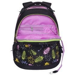 Школьный рюкзак (ранец) Grizzly RD-951-2