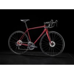 Велосипед Trek Emonda SL 6 Disc 2019 frame 64