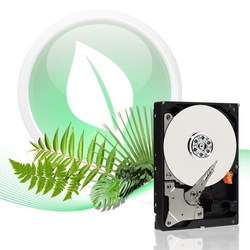 Жесткие диски WD WD3200AZRX