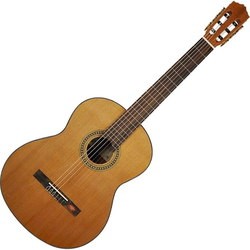 Гитара Salvador Cortez CC-10