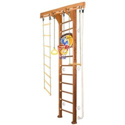 Шведская стенка Kampfer Wooden Ladder Wall Basketball Shield 3m