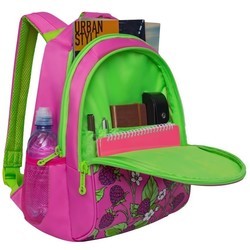 Школьный рюкзак (ранец) Grizzly RD-832-2