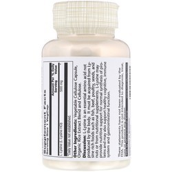 Аминокислоты Solaray L-Lysine 500 mg 60 cap