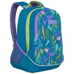 Школьный рюкзак (ранец) Grizzly RD-041-1 (серый)