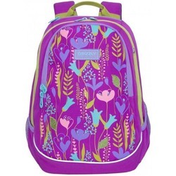 Школьный рюкзак (ранец) Grizzly RD-041-1 (фиолетовый)