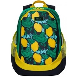 Школьный рюкзак (ранец) Grizzly RD-953-4 (черный)