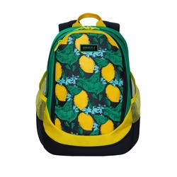 Школьный рюкзак (ранец) Grizzly RD-953-4 (зеленый)