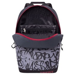 Школьный рюкзак (ранец) Grizzly RQ-010-2