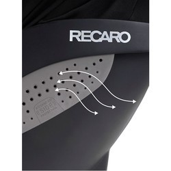 Детское автокресло RECARO Avan (серый)