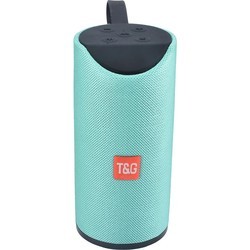 Портативная колонка T&G TG-113 (бирюзовый)