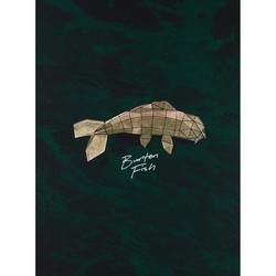 Сноуборд Burton Fish 3D 151 (2020/2021)