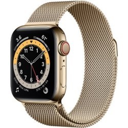 Смарт часы Apple Watch 6 Steel 44mm