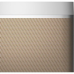 Портативная колонка Bang&Olufsen Beolit 20 (серый)