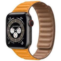 Смарт часы Apple Watch 6 Edition Titanium 44 mm Cellular