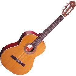 Гитара Ortega R200