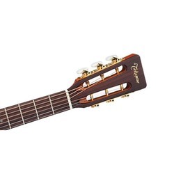 Гитара Takamine EF407