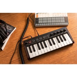 MIDI-клавиатура IK Multimedia iRig Keys 2 Mini