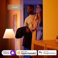 Настольная лампа Philips Hue Go