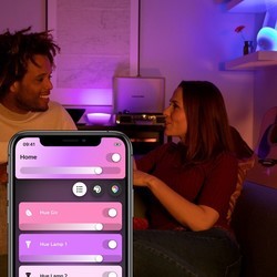 Настольная лампа Philips Hue Go