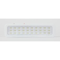Прожектор / светильник ERA DBA-105-0-20