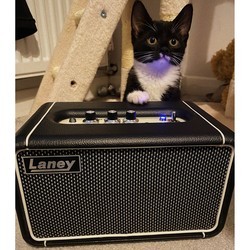 Портативная колонка Laney F67