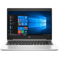 Ноутбук HP ProBook 445 G7 (445G7 277Y7EC)
