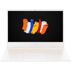 Ноутбук Acer ConceptD 3 CN315-72G (CN315-72G-74YD)