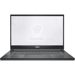 Ноутбук MSI WS66 10TK (WS66 10TK-293RU)